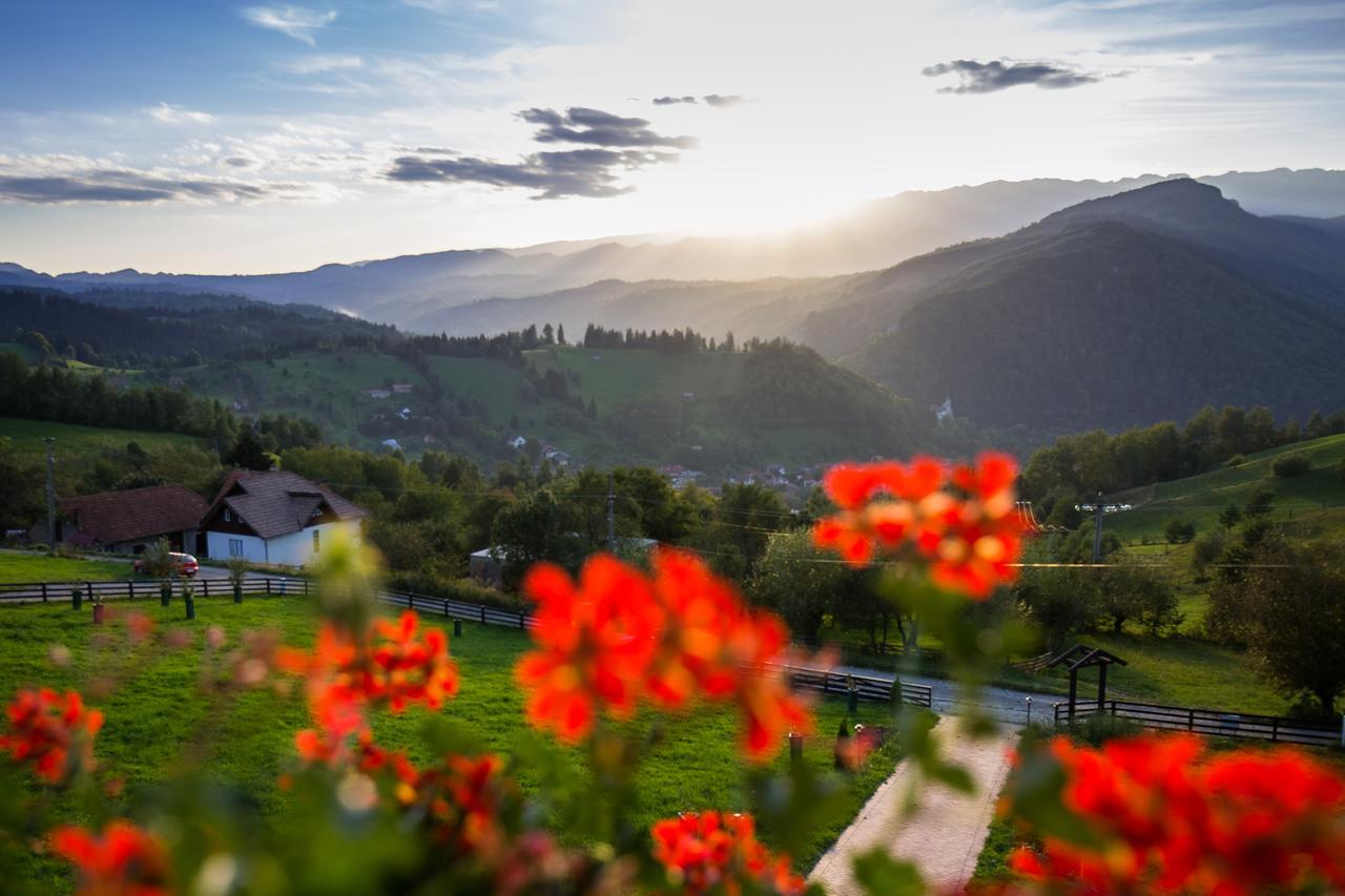 Bran Monte Crai Chalet Exterior foto