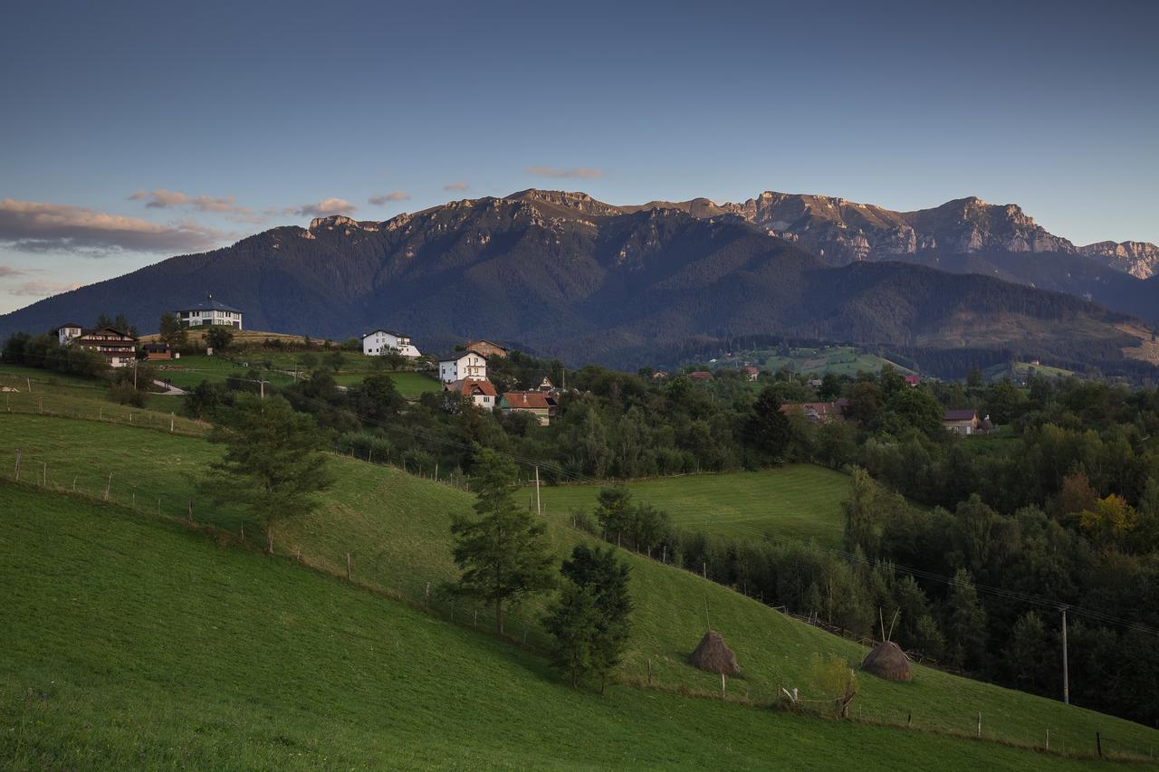 Bran Monte Crai Chalet Exterior foto
