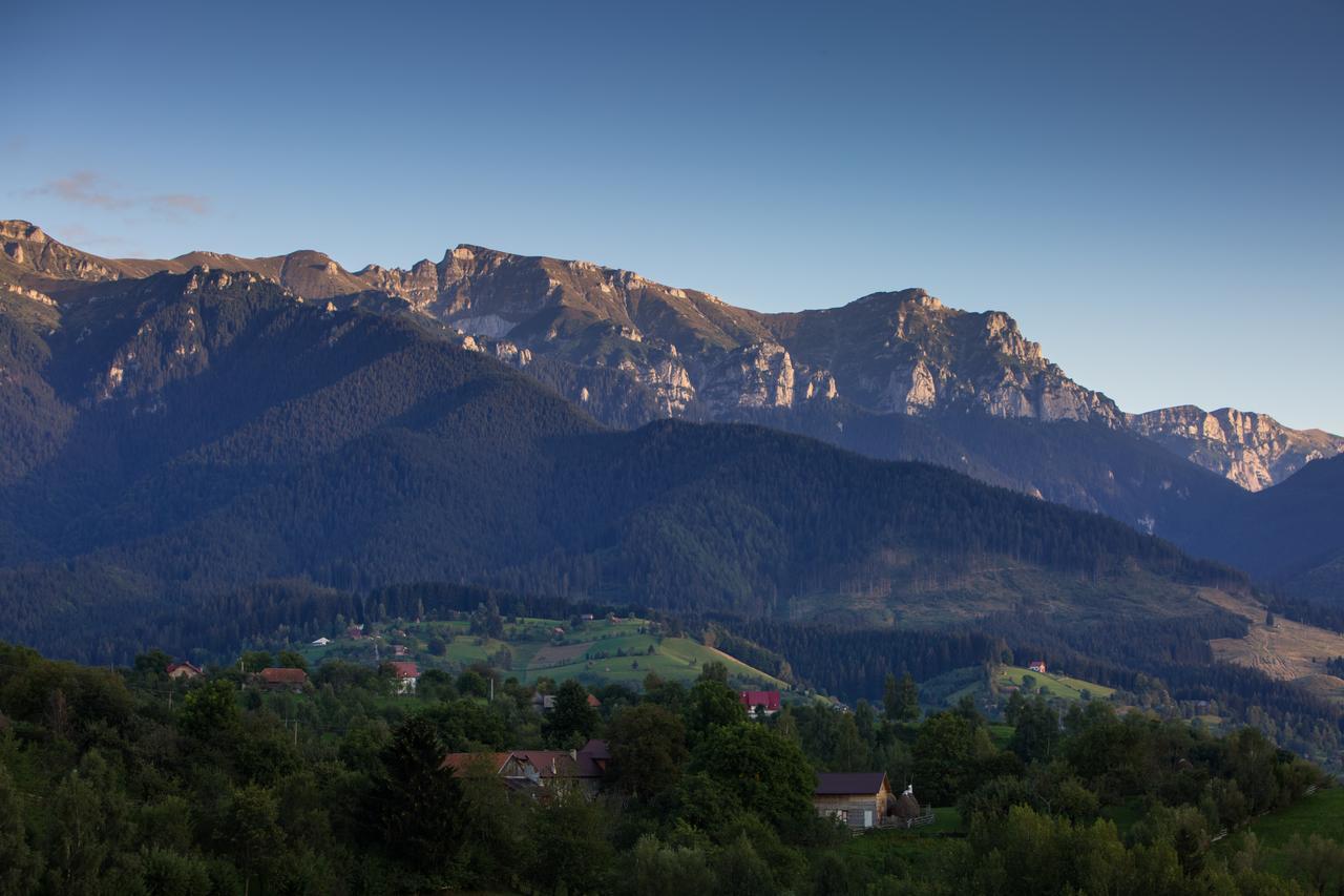 Bran Monte Crai Chalet Exterior foto